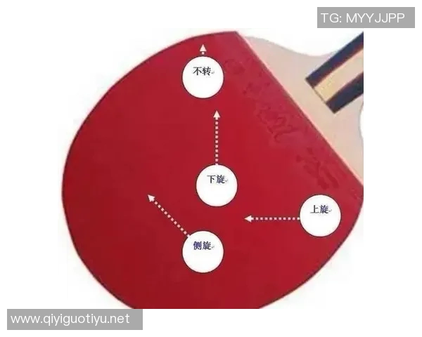 从零基础到高手之路乒乓球技巧与训练全方位指南