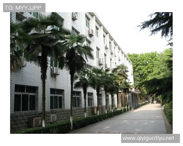 武汉羽毛球队选拔赛逆袭之旅的精彩瞬间与奋斗故事