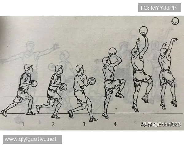 从零基础到篮球高手的比赛经验全方位指南与实用技巧分享