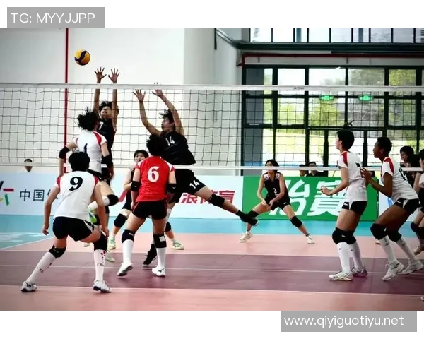 运动数据排球盛宴深入解析上海排球队的战术与技术之美