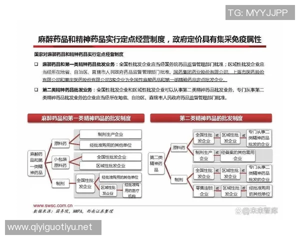 今年运动数据重磅专题TES如何实现全面转型与创新突破的深度解析 今年运动数据重磅专题TES如何实现全面转型与创新突破的深度解析